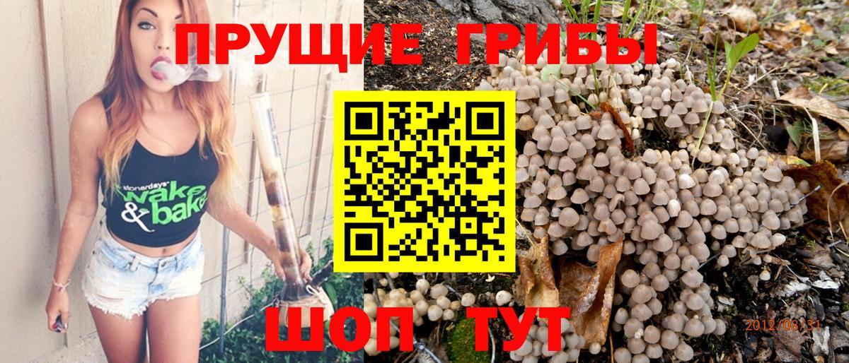 Лыткарино  Галлюциногенные грибы прущие грибы  Вход с VPN  Псилоцибиновые грибы MAGIC MUSHROOMS 