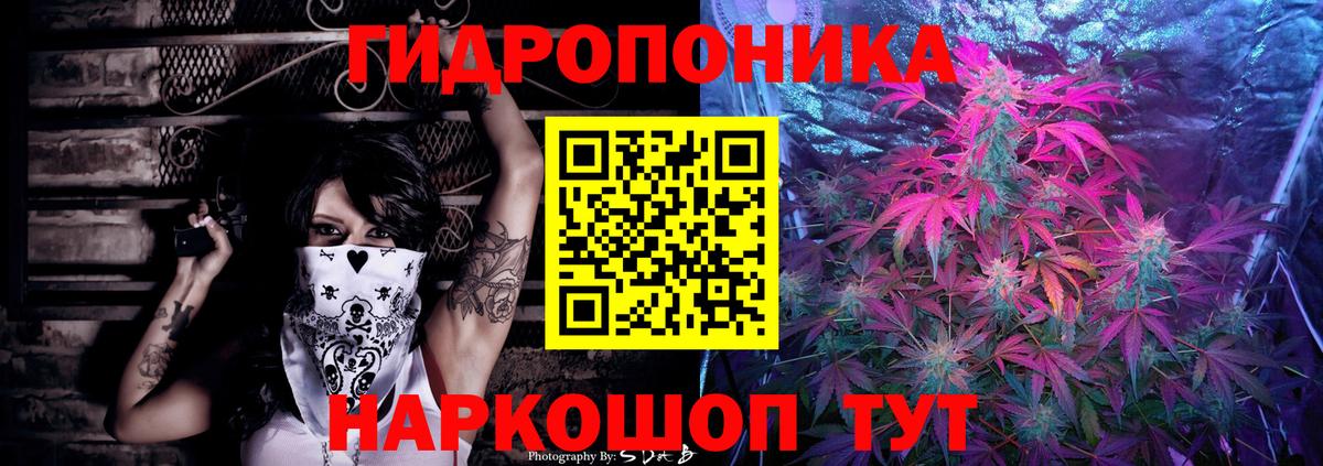 Лыткарино  Каннабис семена  Канабис сатива  Бошки Шишки планчик  Вход с VPN 